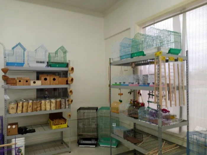 pintos pet shop Picture 4