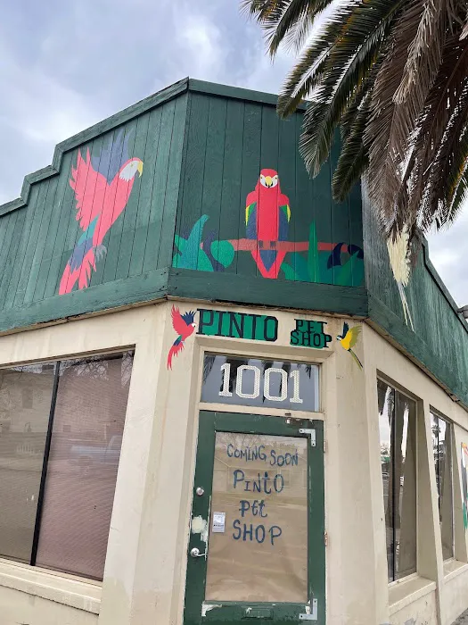 pintos pet shop Picture 5