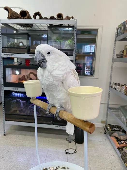 pintos pet shop Picture 6
