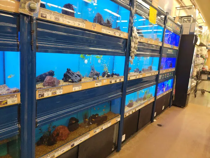 Petco Picture 10