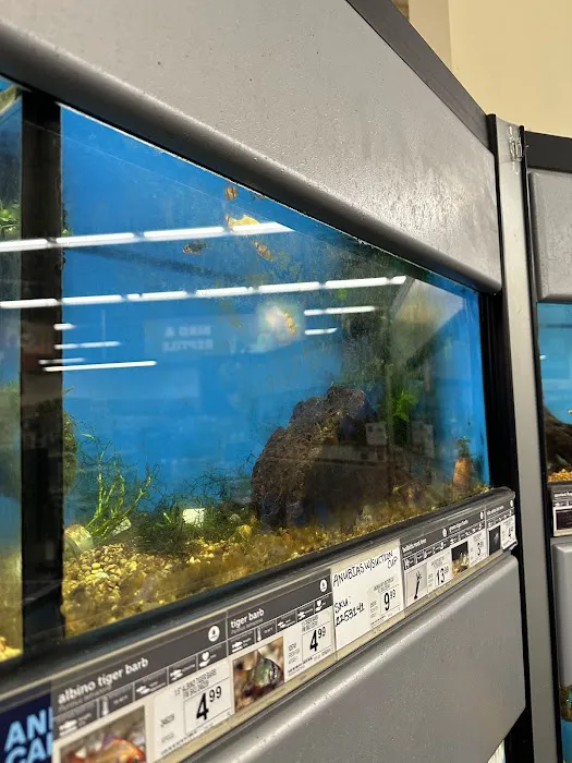 Petco Picture 9