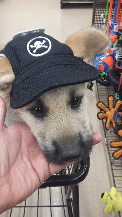 Petco Picture 8
