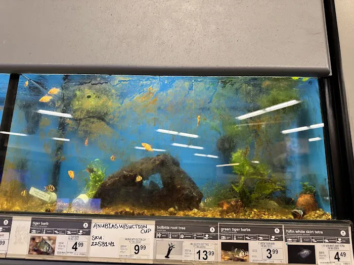 Petco Picture 1