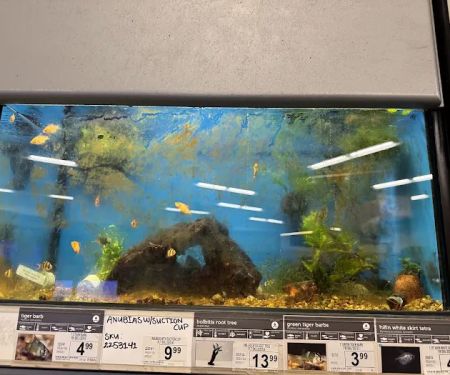 Petco