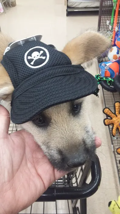 Petco Picture 6