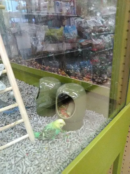 Petco Picture 2