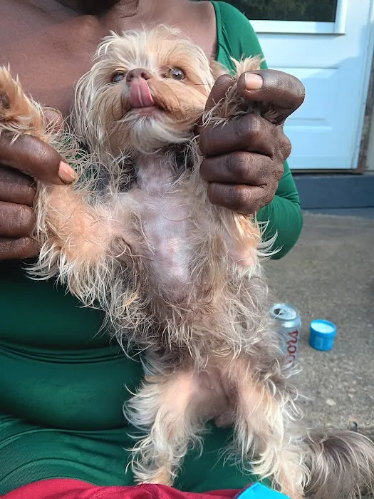 White Oak Animal Hospital: Pepper Sandy L DVM Picture 4