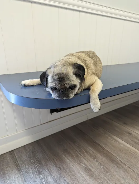Ferry Farm Animal Clinic Picture 7