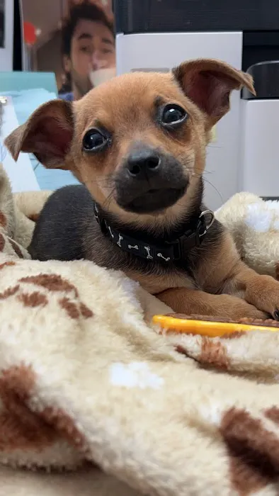 Ferry Farm Animal Clinic Picture 5