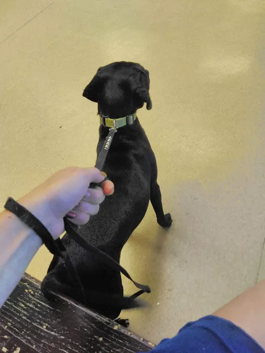 Forest Hills Veterinary Picture 3