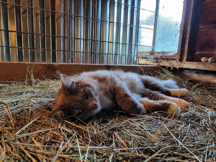 Forest Hills Veterinary Picture 6