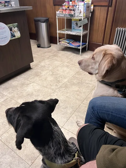 Country Roads Veterinary Services Picture 6