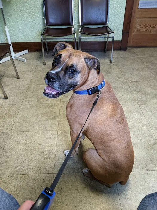 Country Roads Veterinary Services Picture 10