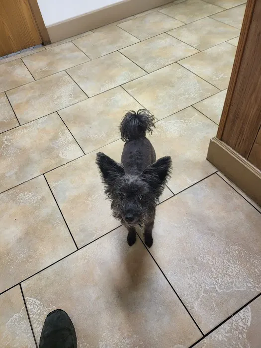 Somerset Veterinary Hospital Picture 5
