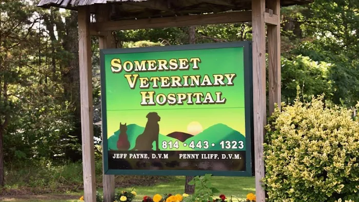 Somerset Veterinary Hospital Picture 10