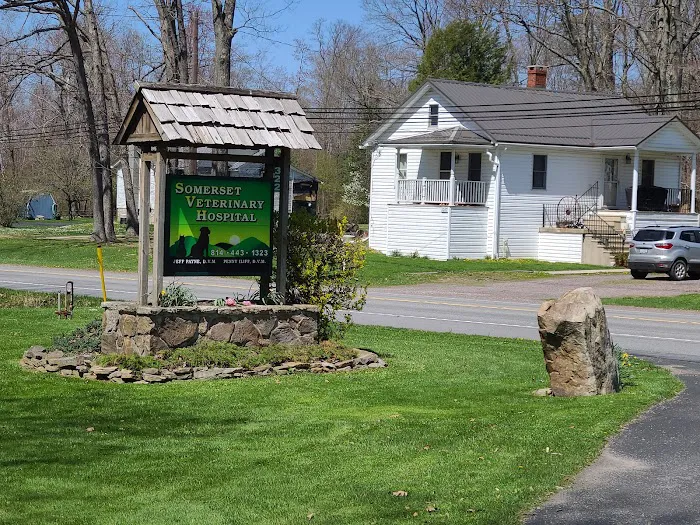 Somerset Veterinary Hospital Picture 3