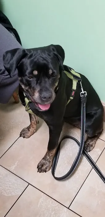 Somerset Veterinary Hospital Picture 4