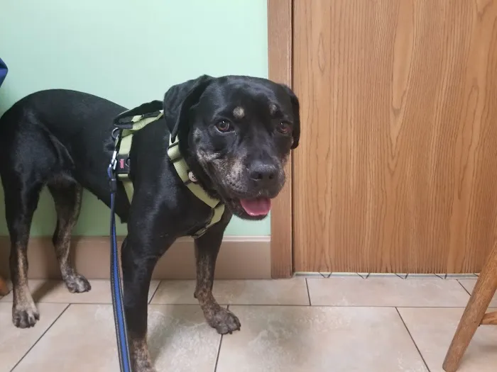 Somerset Veterinary Hospital: Jeff Payne, DVM Picture 1
