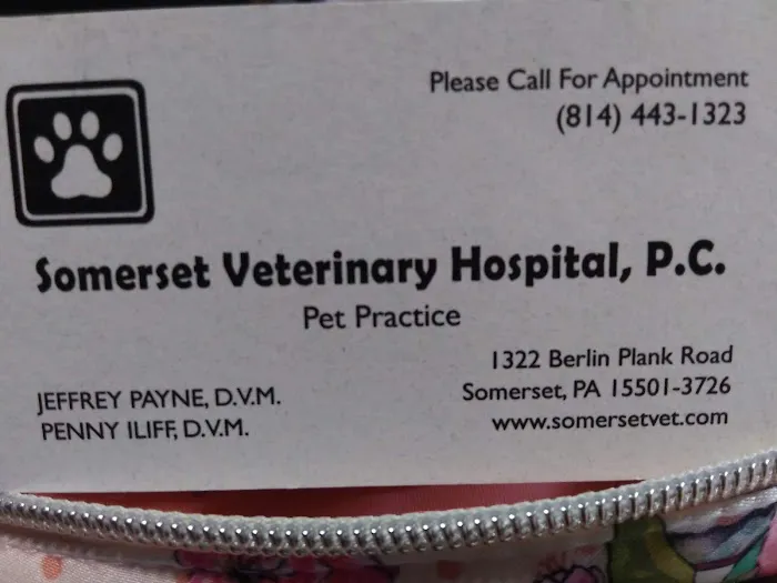 Somerset Veterinary Hospital: Penny Iliff, DVM Picture 2