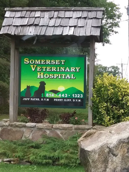 Somerset Veterinary Hospital: Penny Iliff, DVM Picture 4