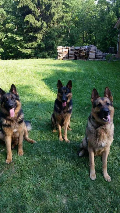Laurel Highlands Animal Health Picture 1