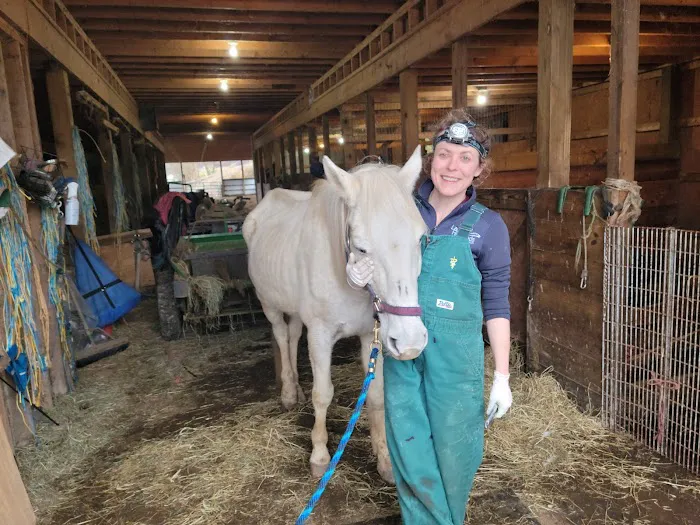 Laurel Highlands Animal Health Picture 2