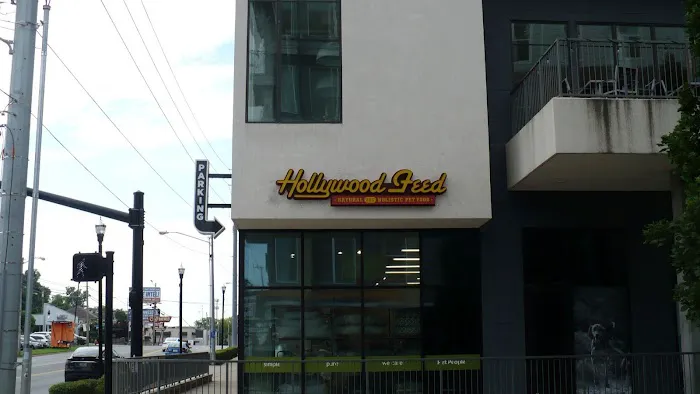 Hollywood Feed Picture 3