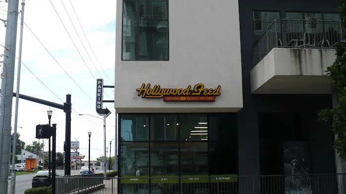 Hollywood Feed Picture 7