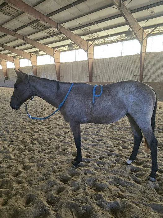 Brown Equine Hospital Picture 3