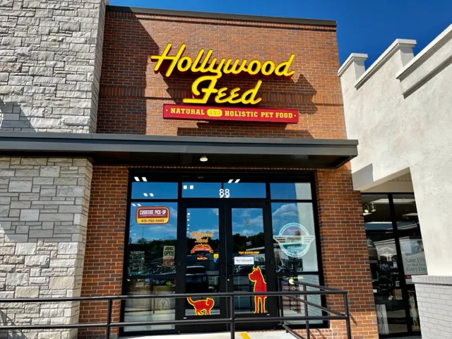 Hollywood Feed Picture 5