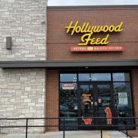 Hollywood Feed ico