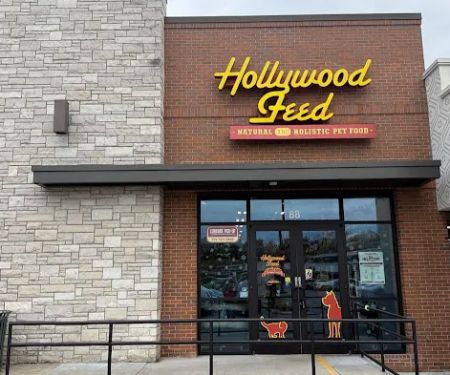 Hollywood Feed