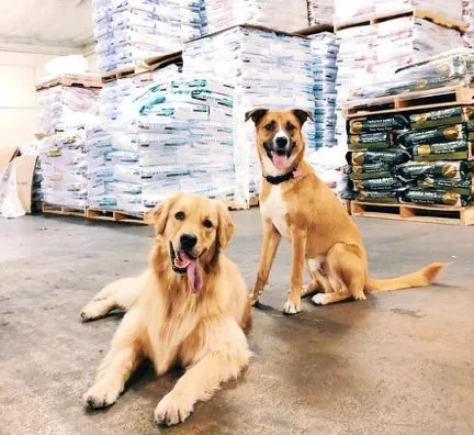 Deliver My Pet Food.com serving Nature's Select with Free Home Delivery in TN, KY and AL Picture 5