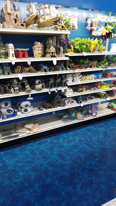 Pet Supermarket Picture 10