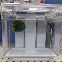 Pet Supermarket ico