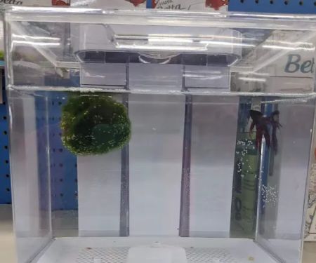 Pet Supermarket