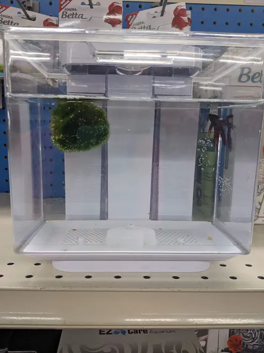 Pet Supermarket Picture 3