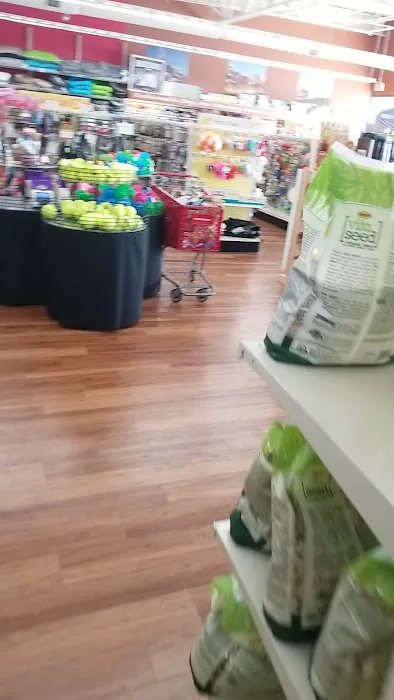 Pet Supermarket Picture 9