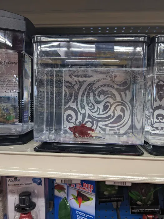 Pet Supermarket Picture 5