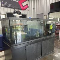 The Reef Doctor ico