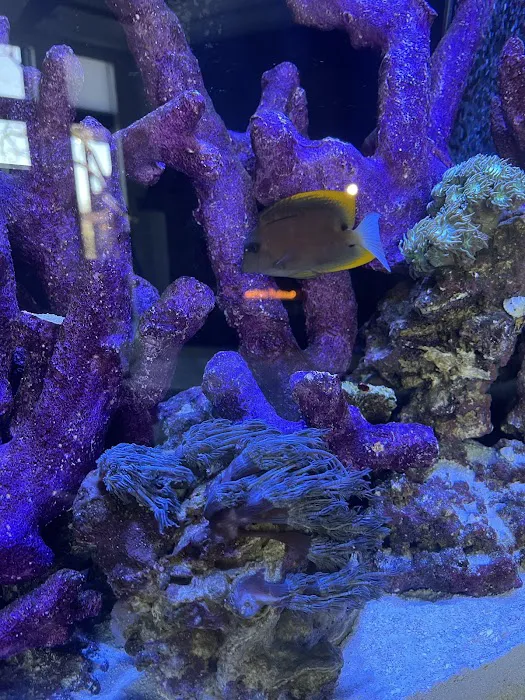 The Reef Doctor Picture 2