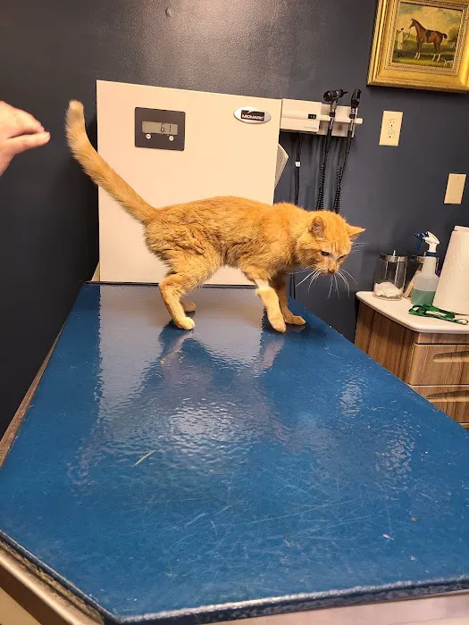 Glades Pike Veterinary Hospital Picture 6