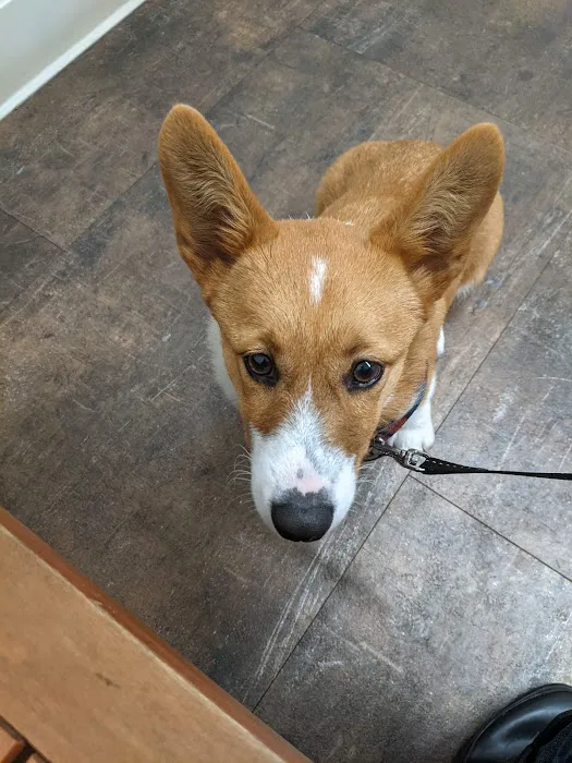 Glades Pike Veterinary Hospital Picture 7