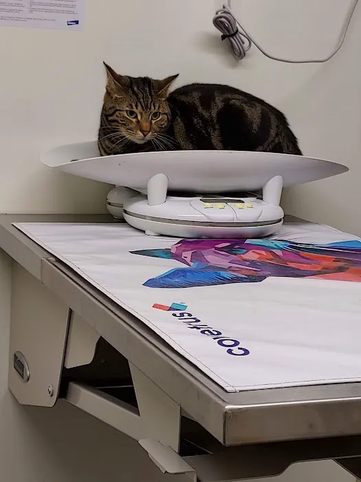 Glades Pike Veterinary Hospital Picture 8