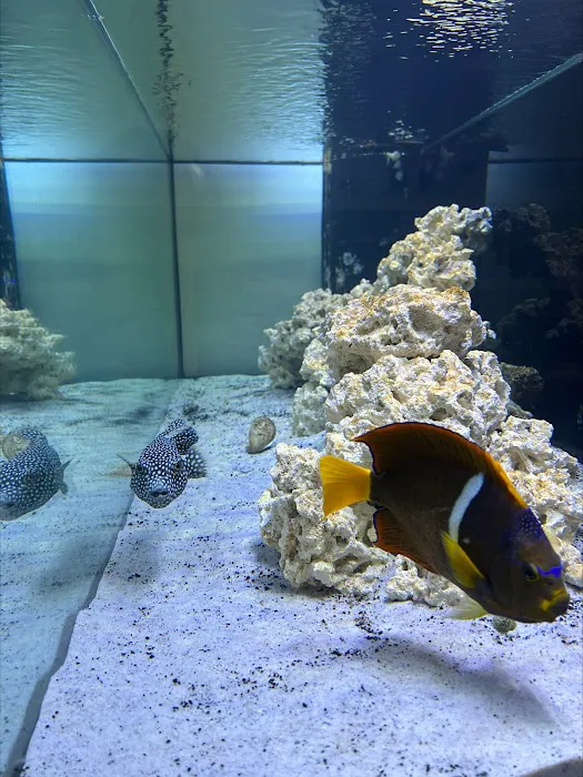 Swans Ponds and Aquatics, LLC Picture 7