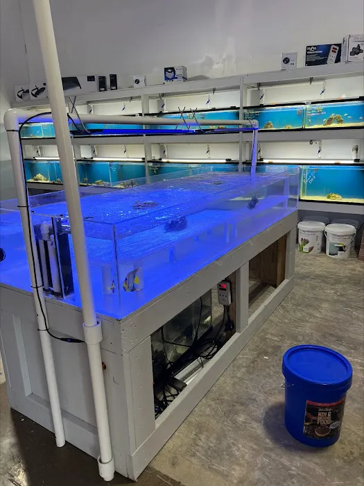 Swans Ponds and Aquatics, LLC Picture 5
