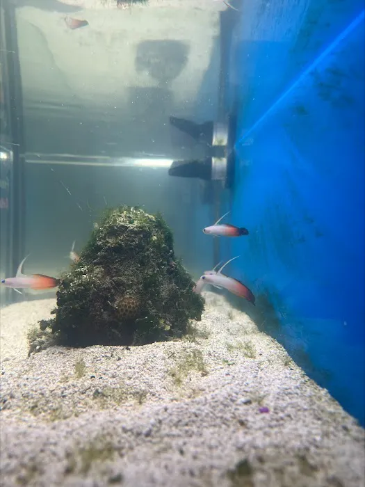 Swans Ponds and Aquatics, LLC Picture 4