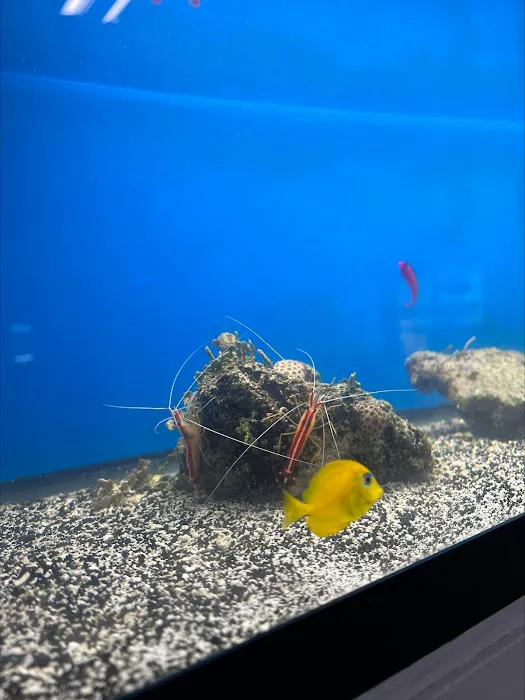 Swans Ponds and Aquatics, LLC Picture 6