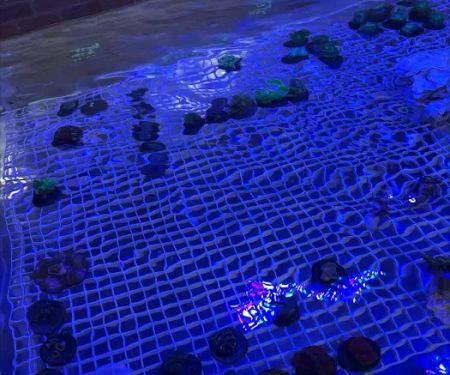 Swans Ponds and Aquatics, LLC