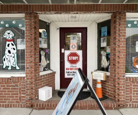 All Pets Animal Hospital